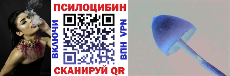 Псилоцибиновые грибы MAGIC MUSHROOMS  Туран 